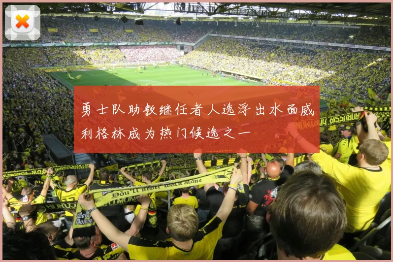 勇士队助教继任者人选浮出水面威利格林成为热门候选之一